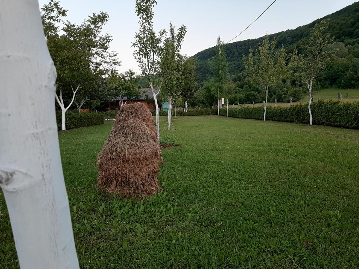 Rest House Ripac Prascijak Kültér fotó