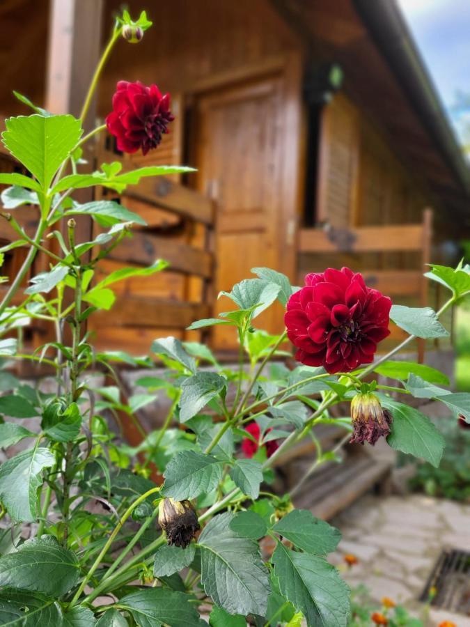 Rest House Ripac Prascijak Kültér fotó